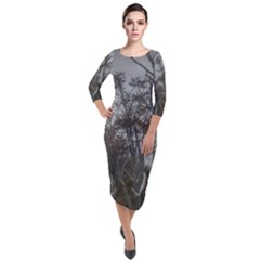 Nature s Resilience: Tierra Del Fuego Forest, Argentina Quarter Sleeve Midi Velour Bodycon Dress by dflcprintsclothing