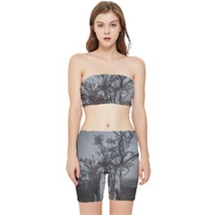 Nature s Resilience: Tierra Del Fuego Forest, Argentina Stretch Shorts And Tube Top Set