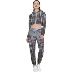 Nature s Resilience: Tierra Del Fuego Forest, Argentina Cropped Zip Up Lounge Set by dflcprintsclothing