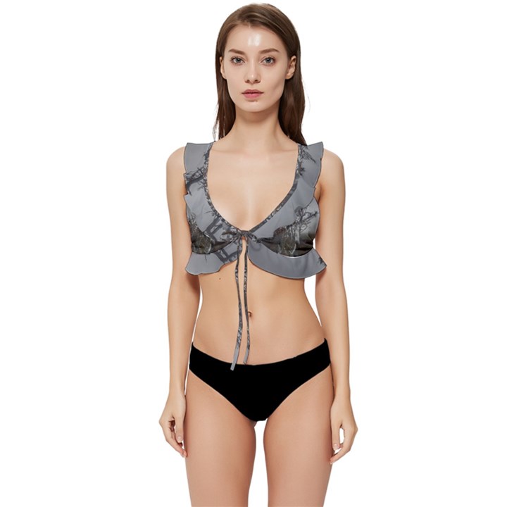 Nature s Resilience: Tierra del Fuego Forest, Argentina Low Cut Ruffle Edge Bikini Top