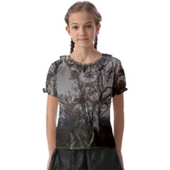 Nature s Resilience: Tierra Del Fuego Forest, Argentina Kids  Frill Chiffon Blouse by dflcprintsclothing