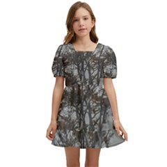 Nature s Resilience: Tierra Del Fuego Forest, Argentina Kids  Short Sleeve Dolly Dress by dflcprintsclothing