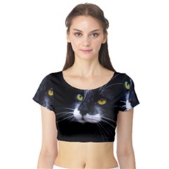 Face Black Cat Short Sleeve Crop Top by Ket1n9