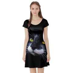 Face Black Cat Short Sleeve Skater Dress by Ket1n9