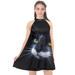 Face Black Cat Halter Neckline Chiffon Dress  by Ket1n9