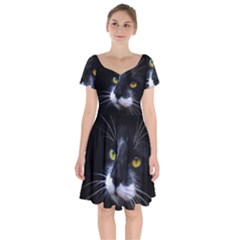 Face Black Cat Short Sleeve Bardot Dress by Ket1n9