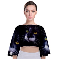 Face Black Cat Tie Back Butterfly Sleeve Chiffon Top by Ket1n9