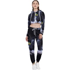 Face Black Cat Cropped Zip Up Lounge Set by Ket1n9