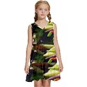 Bright Peppers Kids  Sleeveless Tiered Mini Dress View1