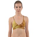 Golden Pattern Vintage Gradient Vector Wrap Around Bikini Top View1