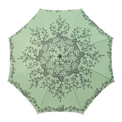 Illustration Of Butterflies And Flowers Ornament On Green Background Golf Umbrellas by Ket1n9