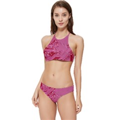 Pink Circuit Pattern Banded Triangle Bikini Set by Ket1n9