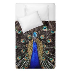 Peacock Duvet Cover Double Side (single Size) by Ket1n9