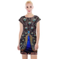 Peacock Cap Sleeve Bodycon Dress