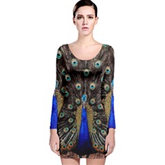 Peacock Long Sleeve Velvet Bodycon Dress