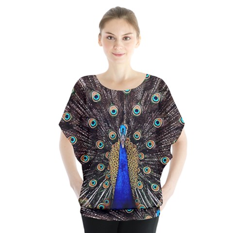 Peacock Batwing Chiffon Blouse by Ket1n9