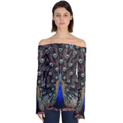 Peacock Off Shoulder Long Sleeve Top by Ket1n9