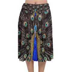 Peacock Velvet Flared Midi Skirt by Ket1n9