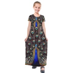 Peacock Kids  Short Sleeve Maxi Dress by Ket1n9