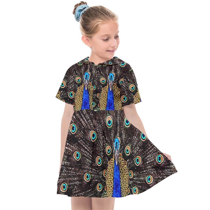 Peacock Kids  Sailor Dress