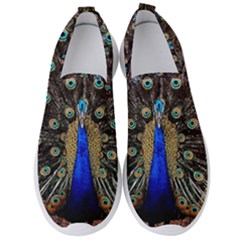 Peacock Men s Slip On Sneakers by Ket1n9