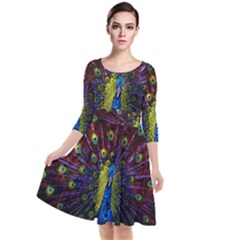 Beautiful Peacock Feather Quarter Sleeve Waist Band Dress by Ket1n9