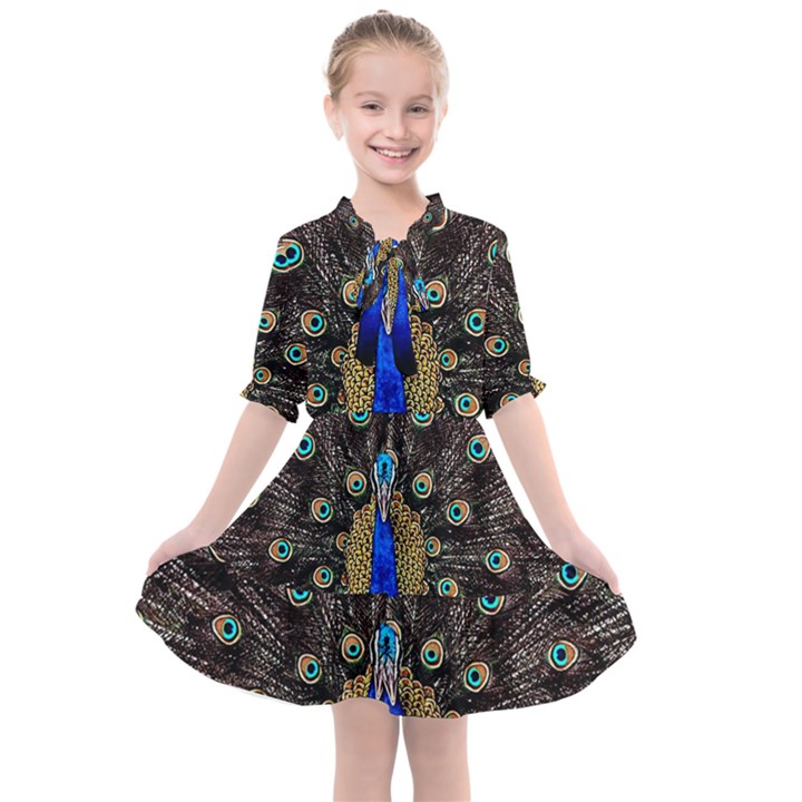 Peacock Kids  All Frills Chiffon Dress