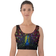 Beautiful Peacock Feather Velvet Crop Top by Ket1n9