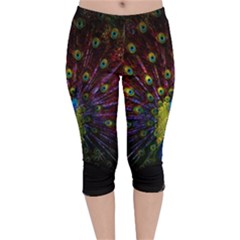 Beautiful Peacock Feather Velvet Capri Leggings  by Ket1n9