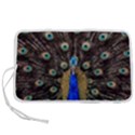 Peacock Pen Storage Case (M) View1