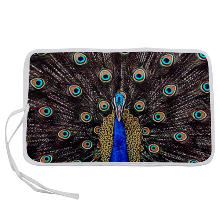 Peacock Pen Storage Case (M)