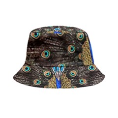 Peacock Bucket Hat by Ket1n9