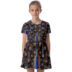 Peacock Kids  Short Sleeve Pinafore Style Dress by Ket1n9