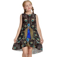 Peacock Kids  Frill Swing Dress by Ket1n9