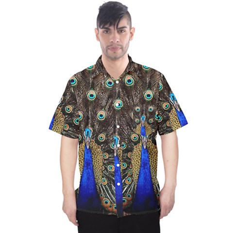 Peacock Men s Hawaii Shirt by Ket1n9