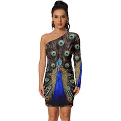 Peacock Long Sleeve One Shoulder Mini Dress by Ket1n9