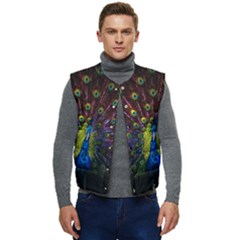 Beautiful Peacock Feather Men s Button Up Puffer Vest	 by Ket1n9