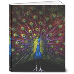 Beautiful Peacock Feather 8  X 10  Softcover Notebook by Ket1n9