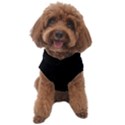 Black Dog Sweater View1