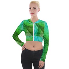 Sunlight Filtering Through Transparent Leaves Green Blue Long Sleeve Cropped Velvet Jacket by Ket1n9