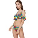 Snakes And Ladders Ruffle Edge Tie Up Bikini Set	 View2