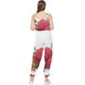 Fruit-healthy-vitamin-vegan Sleeveless Tie Ankle Chiffon Jumpsuit View2