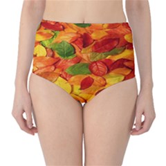 Leaves Texture Classic High-waist Bikini Bottoms by Ket1n9