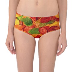 Leaves Texture Mid-waist Bikini Bottoms by Ket1n9