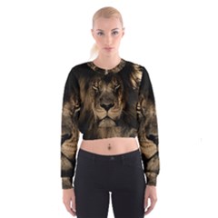 African-lion-mane-close-eyes Cropped Sweatshirt by Ket1n9