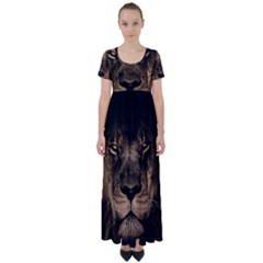 African-lion-mane-close-eyes High Waist Short Sleeve Maxi Dress by Ket1n9