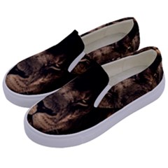 African-lion-mane-close-eyes Kids  Canvas Slip Ons by Ket1n9