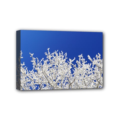 Crown-aesthetic-branches-hoarfrost- Mini Canvas 6  X 4  (stretched) by Ket1n9