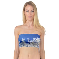 Crown-aesthetic-branches-hoarfrost- Bandeau Top by Ket1n9