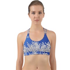 Crown-aesthetic-branches-hoarfrost- Back Web Sports Bra by Ket1n9